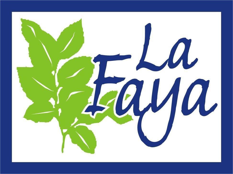 Вилла Casa Rural La Faya Сан-Хуан-де-Паррес Экстерьер фото
